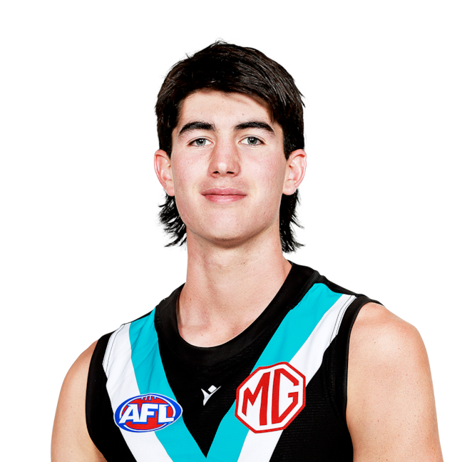 Dante Visentini profile picture